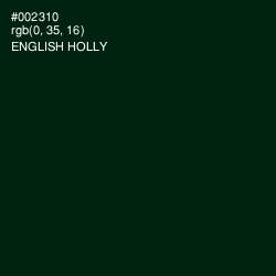#002310 - English Holly Color Image